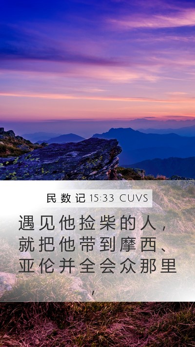 民 数 记 15:33 CUVS Mobile Phone Wallpaper - 遇 见 他 捡 柴 的 人 ， 就 把 他 带 - Mobile Bible Verse Wallpaper
