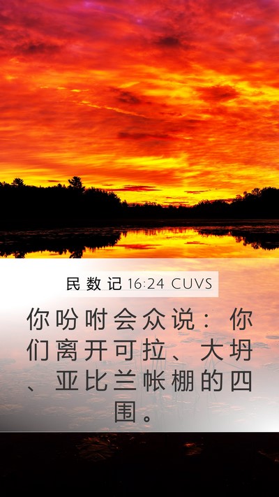 民 数 记 16:24 CUVS Bible Verse Image