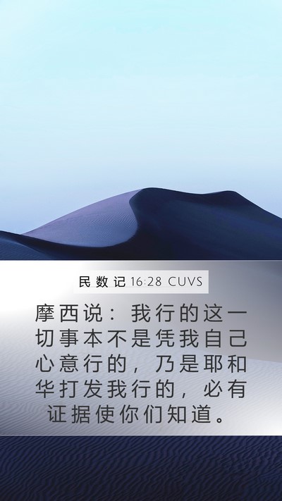 民 数 记 16:28 CUVS Bible Verse Image