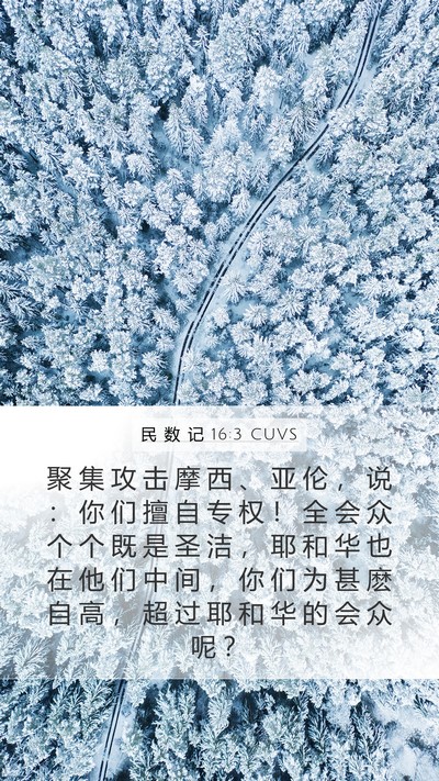 民 数 记 16:3 CUVS Bible Verse Image