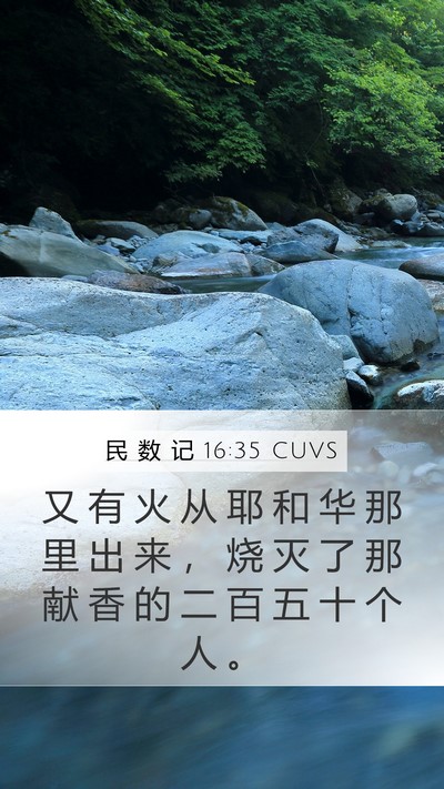 民 数 记 16:35 CUVS Bible Verse Image