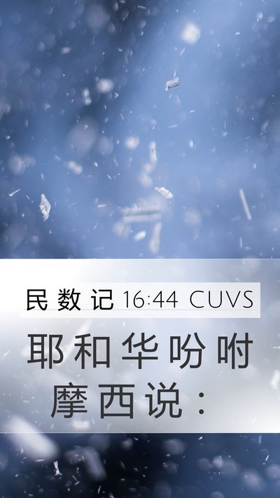 民 数 记 16:44 CUVS Bible Verse Image