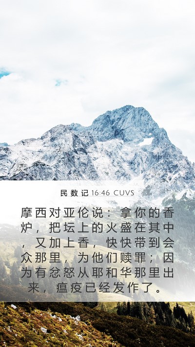 民 数 记 16:46 CUVS Bible Verse Image