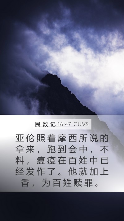 民 数 记 16:47 CUVS Bible Verse Image