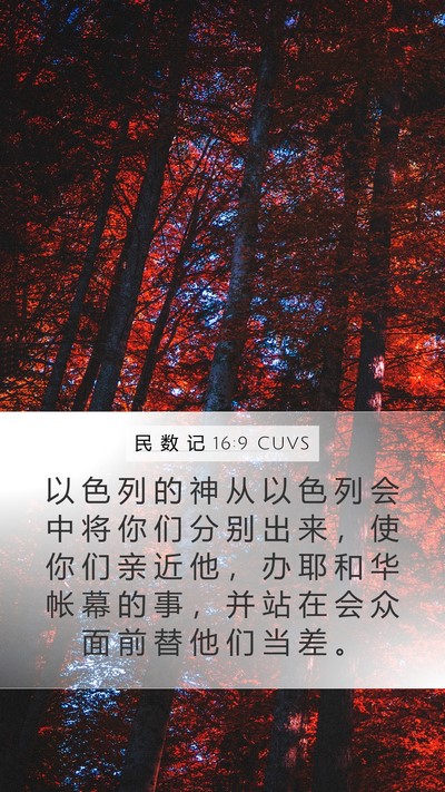 民 数 记 16:9 CUVS Bible Verse Image