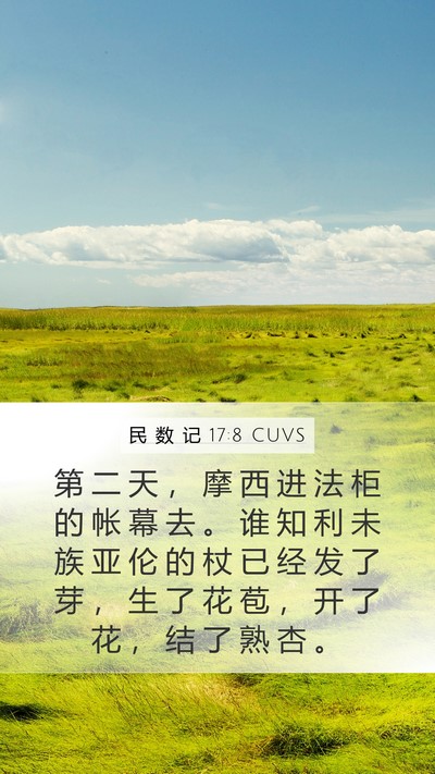 民 数 记 17:8 CUVS Mobile Phone Wallpaper - 第 二 天 ， 摩 西 进 法 柜 的 帐 幕 - Mobile Bible Verse Wallpaper