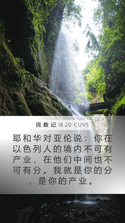 民 数 记 18:20 CUVS Bible Verse Image