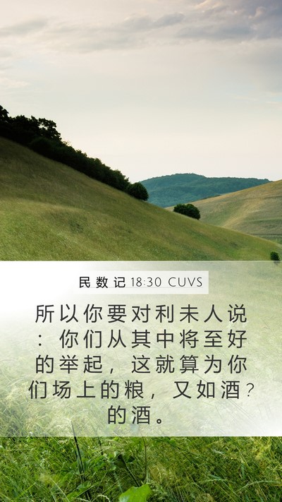 民 数 记 18:30 CUVS Bible Verse Image