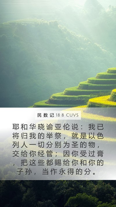 民 数 记 18:8 CUVS Bible Verse Image