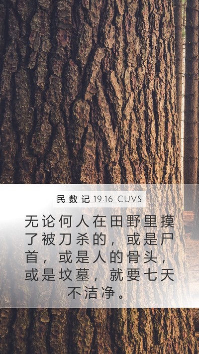 民 数 记 19:16 CUVS Bible Verse Image