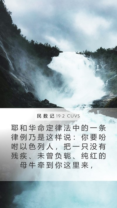 民 数 记 19:2 CUVS Mobile Phone Wallpaper - 耶 和 华 命 定 律 法 中 的 一 条 律 - Mobile Bible Verse Wallpaper