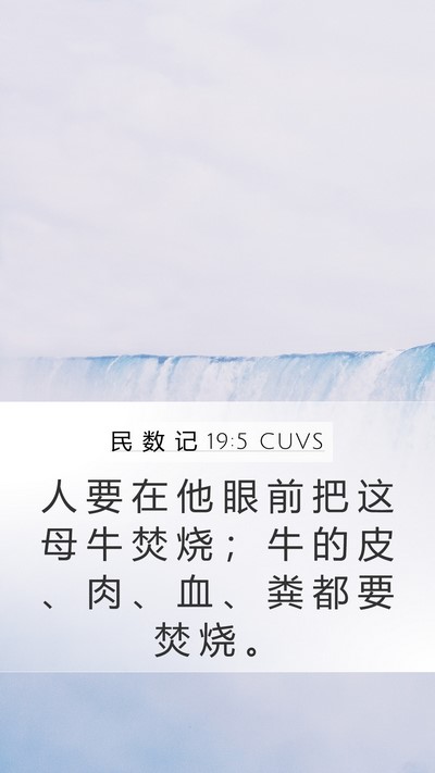 民 数 记 19:5 CUVS Bible Verse Image