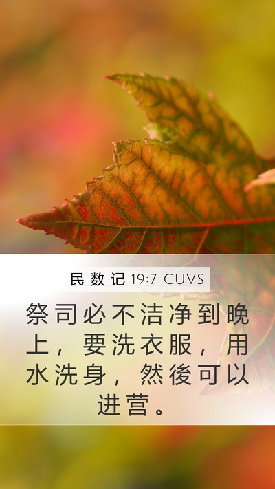 民 数 记 19:7 CUVS Mobile Phone Wallpaper - 祭 司 必 不 洁 净 到 晚 上 ， 要 洗 - Mobile Bible Verse Wallpaper