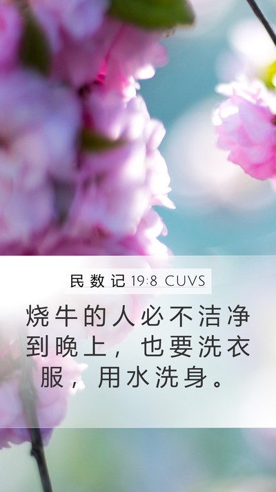 民 数 记 19:8 CUVS Bible Verse Image