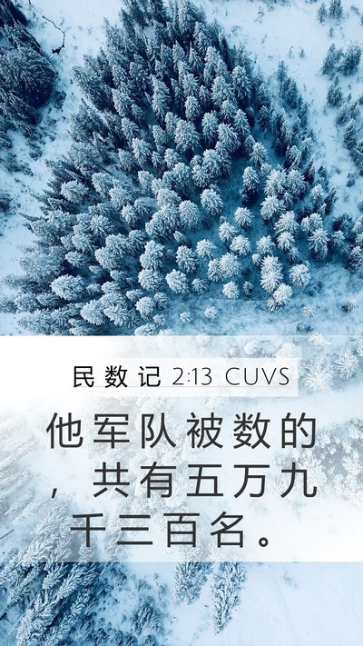 民 数 记 2:13 CUVS Bible Verse Image