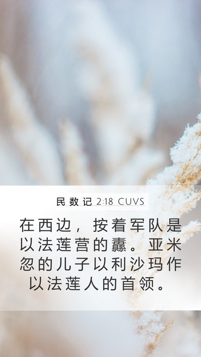 民 数 记 2:18 CUVS Bible Verse Image
