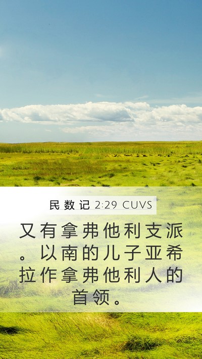 民 数 记 2:29 CUVS Mobile Phone Wallpaper - 又 有 拿 弗 他 利 支 派 。 以 南 的 - Mobile Bible Verse Wallpaper
