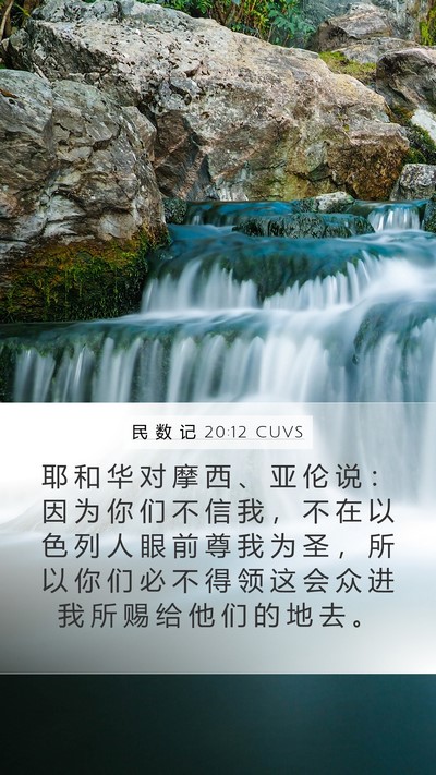 民 数 记 20:12 CUVS Bible Verse Image