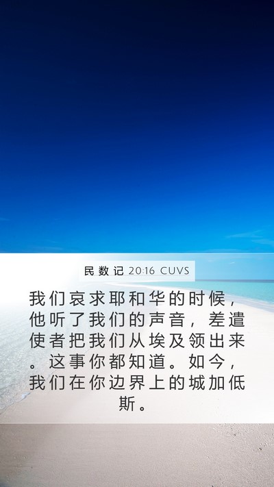 民 数 记 20:16 CUVS Bible Verse Image
