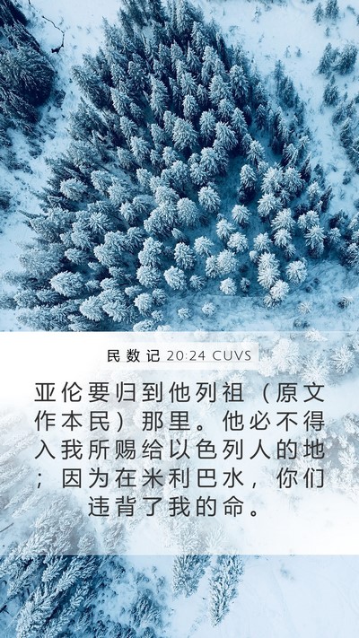 民 数 记 20:24 CUVS Bible Verse Image