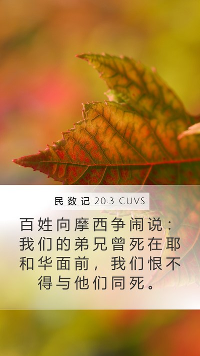 民 数 记 20:3 CUVS Bible Verse Image