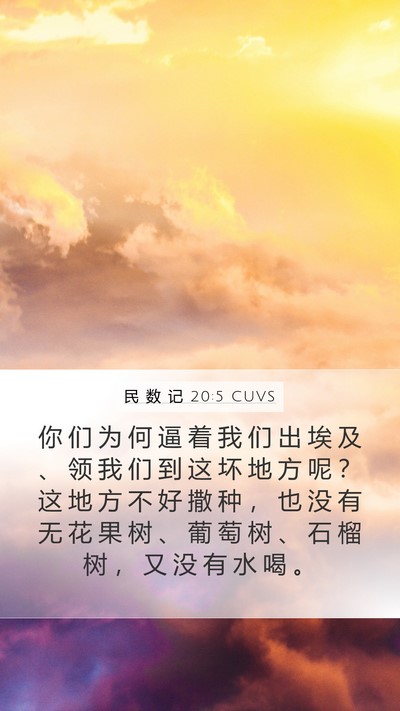 民 数 记 20:5 CUVS Bible Verse Image