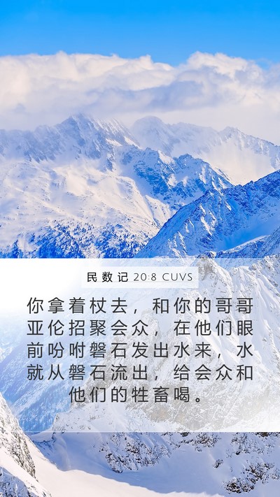 民 数 记 20:8 CUVS Bible Verse Image