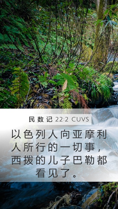 民 数 记 22:2 CUVS Bible Verse Image