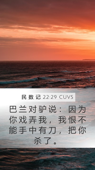 民 数 记 22:29 CUVS Mobile Phone Wallpaper - 巴 兰 对 驴 说 ： 因 为 你 戏 弄 我 - Mobile Bible Verse Wallpaper