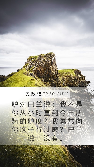 民 数 记 22:30 CUVS Mobile Phone Wallpaper - 驴 对 巴 兰 说 ： 我 不 是 你 从 小 - Mobile Bible Verse Wallpaper