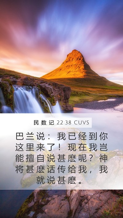 民 数 记 22:38 CUVS Bible Verse Image