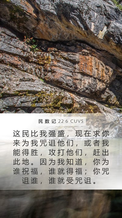 民 数 记 22:6 CUVS Bible Verse Image