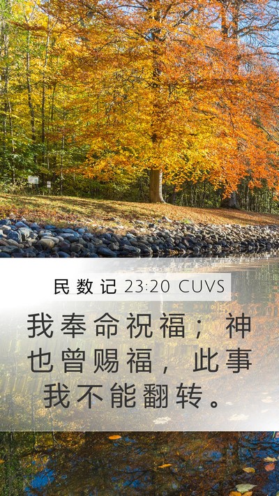民 数 记 23:20 CUVS Bible Verse Image