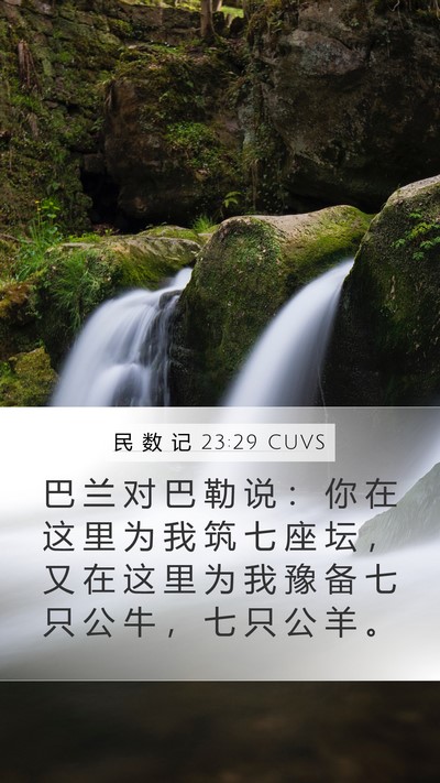 民 数 记 23:29 CUVS Bible Verse Image