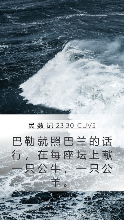 民 数 记 23:30 CUVS Mobile Phone Wallpaper - 巴 勒 就 照 巴 兰 的 话 行 ， 在 每 - Mobile Bible Verse Wallpaper