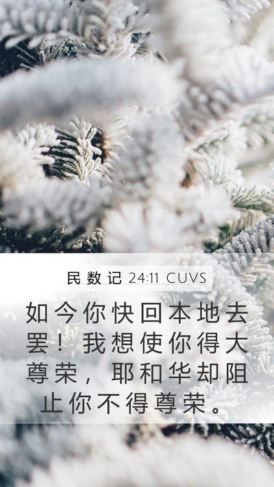 民 数 记 24:11 CUVS Bible Verse Image