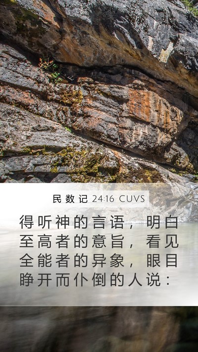 民 数 记 24:16 CUVS Bible Verse Image