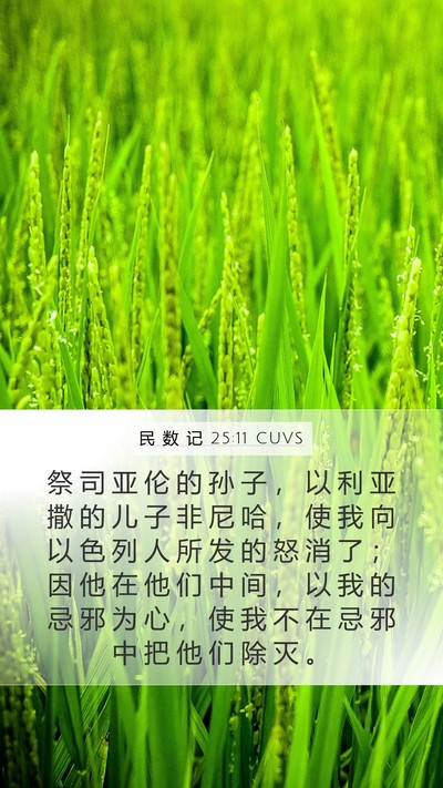 民 数 记 25:11 CUVS Bible Verse Image