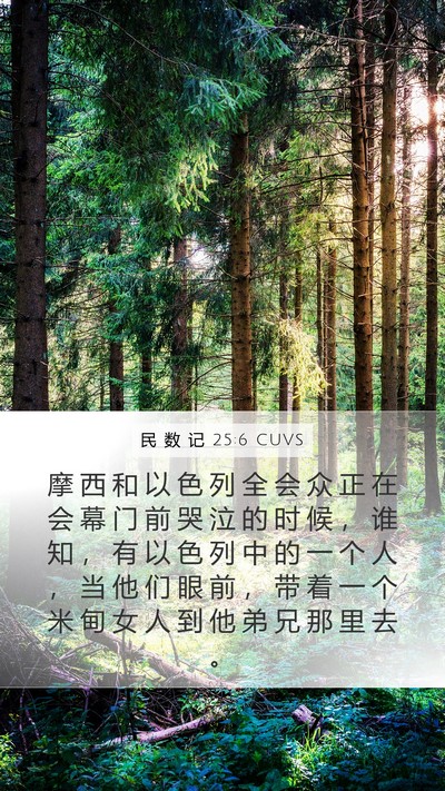 民 数 记 25:6 CUVS Mobile Phone Wallpaper - 摩 西 和 以 色 列 全 会 众 正 在 会 - Mobile Bible Verse Wallpaper