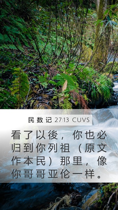民 数 记 27:13 CUVS Bible Verse Image