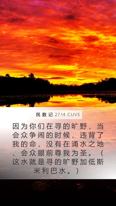 民 数 记 27:14 CUVS Bible Verse Image