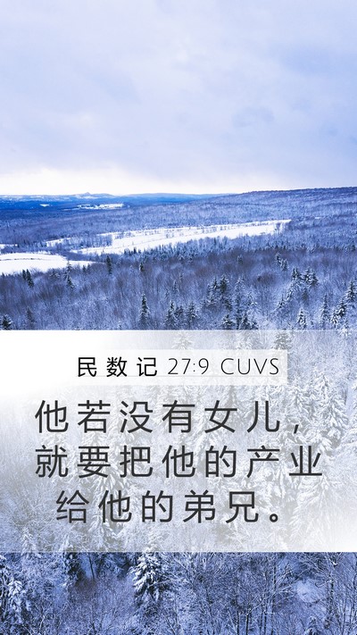 民 数 记 27:9 CUVS Mobile Phone Wallpaper - 他 若 没 有 女 儿 ， 就 要 把 他 的 - Mobile Bible Verse Wallpaper
