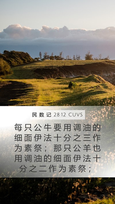 民 数 记 28:12 CUVS Bible Verse Image