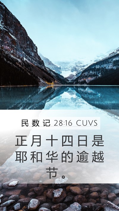 民 数 记 28:16 CUVS Bible Verse Image