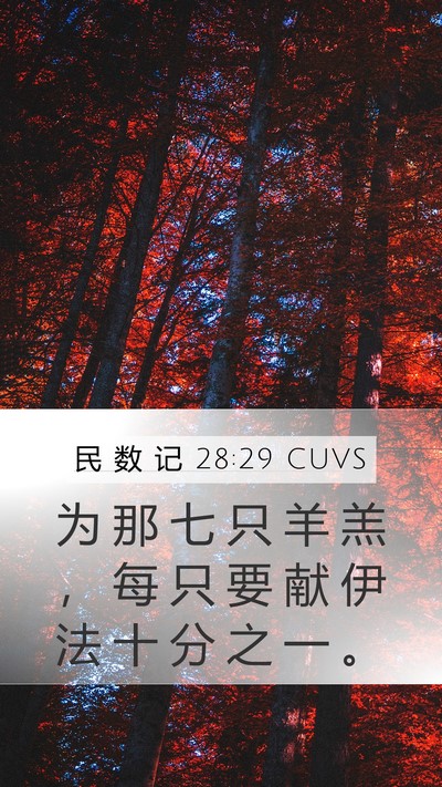 民 数 记 28:29 CUVS Mobile Phone Wallpaper - 为 那 七 只 羊 羔 ， 每 只 要 献 伊 - Mobile Bible Verse Wallpaper