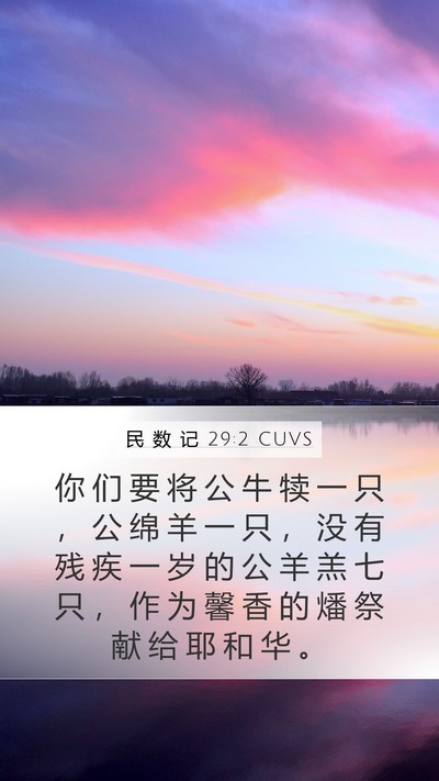 民 数 记 29:2 CUVS Mobile Phone Wallpaper - 你 们 要 将 公 牛 犊 一 只 ， 公 绵 - Mobile Bible Verse Wallpaper
