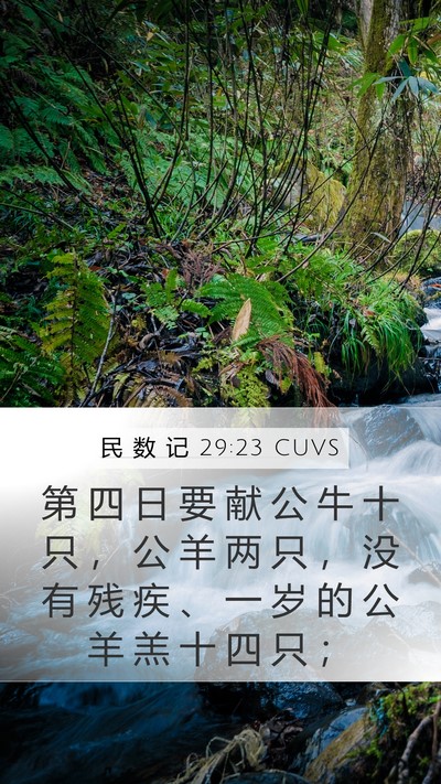 民 数 记 29:23 CUVS Mobile Phone Wallpaper - 第 四 日 要 献 公 牛 十 只 ， 公 羊 - Mobile Bible Verse Wallpaper