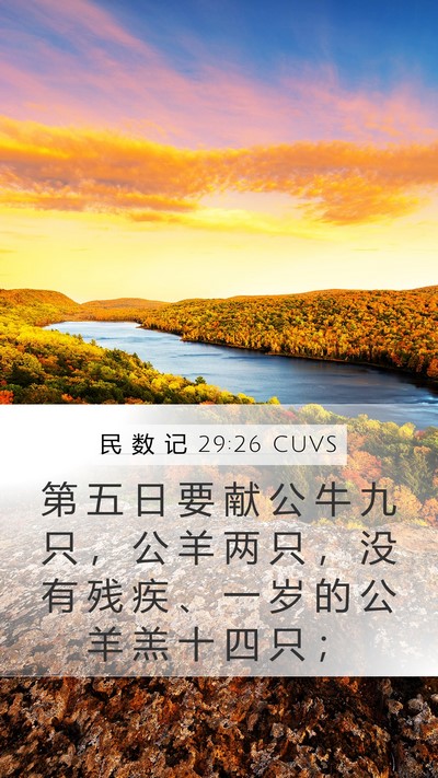 民 数 记 29:26 CUVS Mobile Phone Wallpaper - 第 五 日 要 献 公 牛 九 只 ， 公 羊 - Mobile Bible Verse Wallpaper