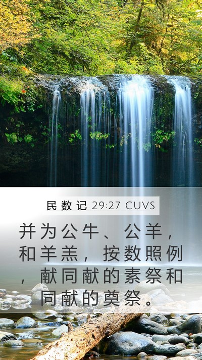 民 数 记 29:27 CUVS Mobile Phone Wallpaper - 并 为 公 牛 、 公 羊 ， 和 羊 羔 ， - Mobile Bible Verse Wallpaper