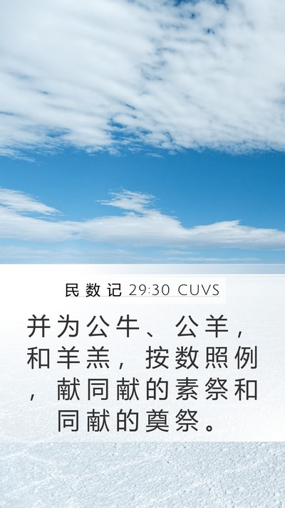 民 数 记 29:30 CUVS Mobile Phone Wallpaper - 并 为 公 牛 、 公 羊 ， 和 羊 羔 ， - Mobile Bible Verse Wallpaper